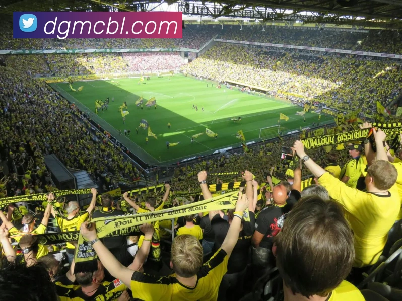 华体会APP 封面图