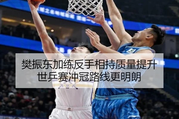 樊振东加练反手相持质量提升 世乒赛冲冠路线更明朗